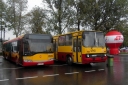 DSC09477.JPG