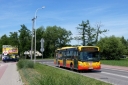 P1050038_-_Kopia.JPG