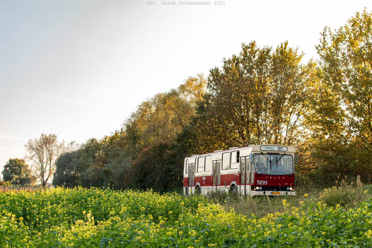 5299
Słowa kluczowe: JZP PR110
