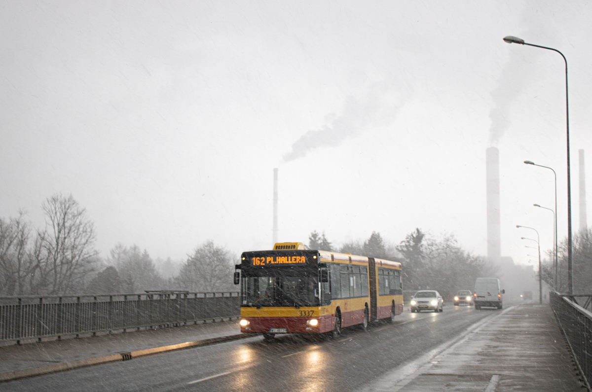 3337
Słowa kluczowe: MgĹa Zima