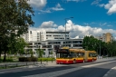 3337_527.jpg