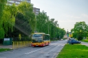 DSC_0741-2_wgkmjpg.jpg