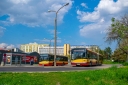 DSC_0925-3_copyright_wgkm.jpg