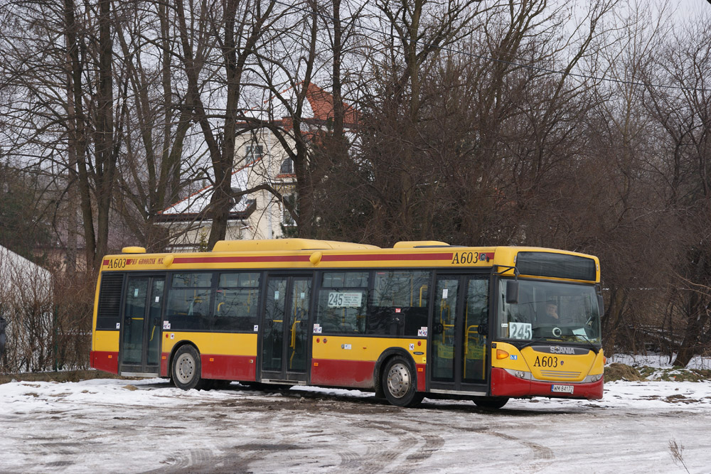 A603
Ciekawostka - w momencie powstania tego zdjÄcia linia 245 jeĹşdziĹa krĂłcej niĹź miesiÄc. WczeĹniej tÄ samÄ trasÄ pokonywaĹa linia 137, ale byĹa obsĹugiwana Autosanami Solina. Nie jest to ani pÄtla przy Olszynce, ani na os. Dudziarska. Dlaczego zatem na wyĹwietlaczu nie ma kraĹca? Gdzie zatrzymaĹ siÄ wĂłz i z jakiej okazji?
