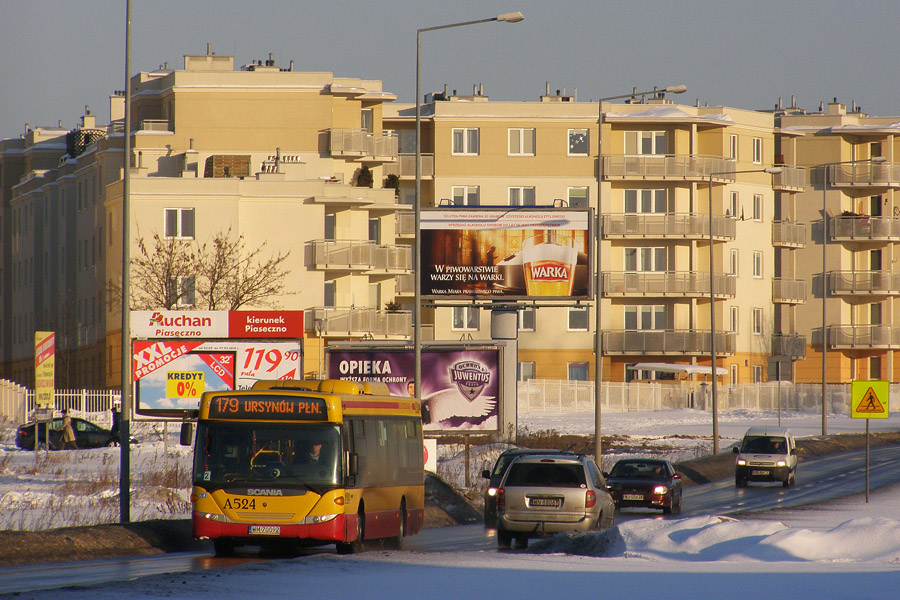A524
Zima 2010. PodziÄkowania dla AB
Słowa kluczowe: Zima