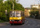 P5301930.jpg