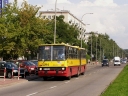 P8111160A.jpg