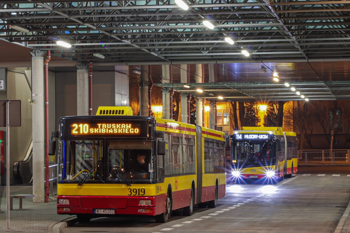 3919
âEngietaâ - wraz z mĹodszym o 17 lat âkartonemâ :PP
