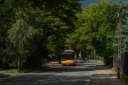 DSC05434.jpg