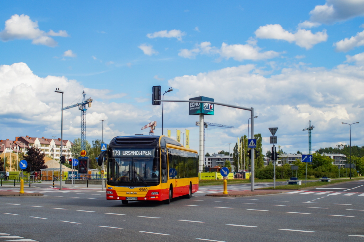 9560
Słowa kluczowe: DziwadĹo