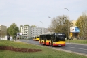 9313.JPG