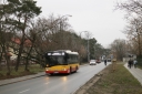 9336.jpg