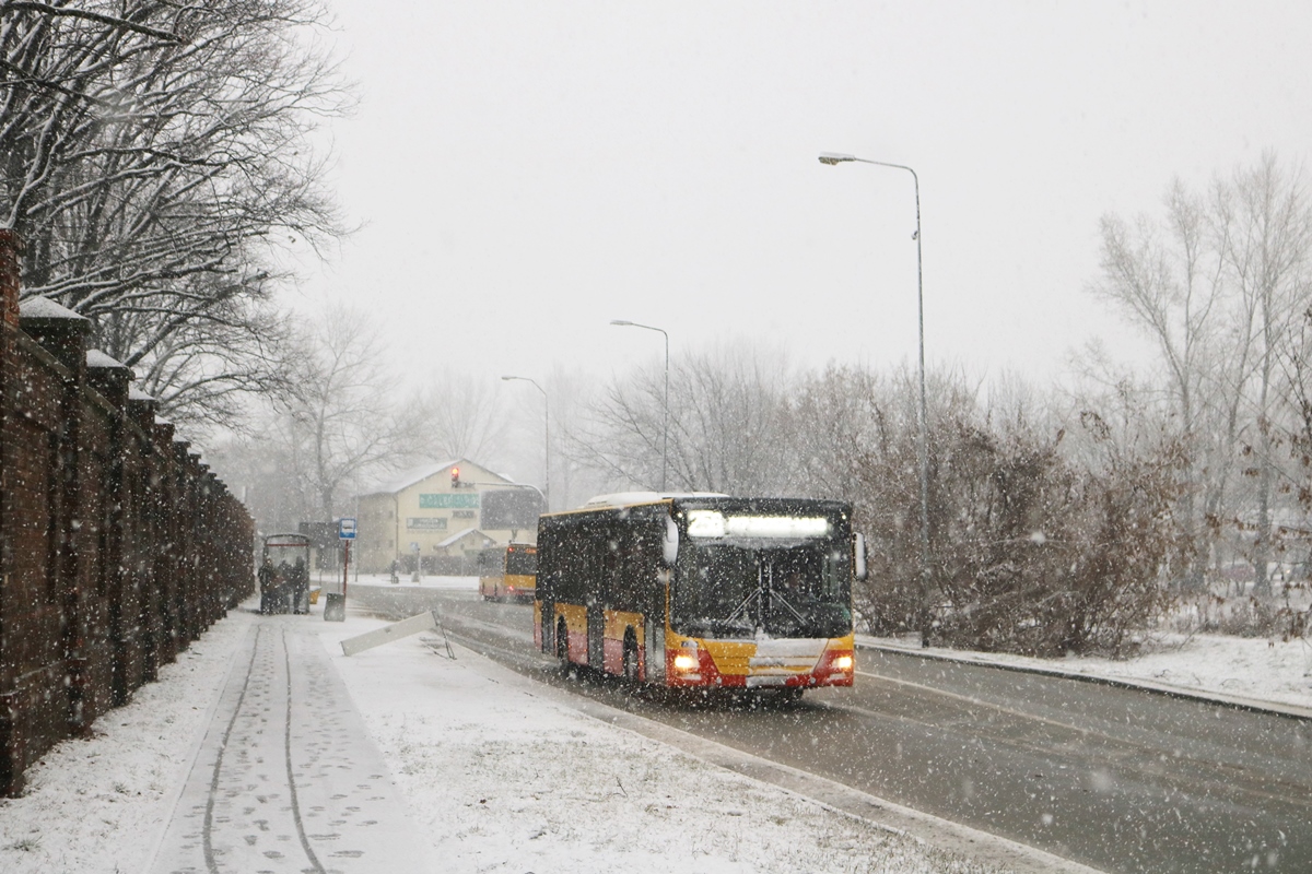 9303
Słowa kluczowe: Zima