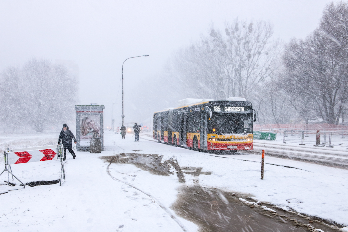 7880
Słowa kluczowe: Zima