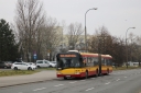 _81044.jpg