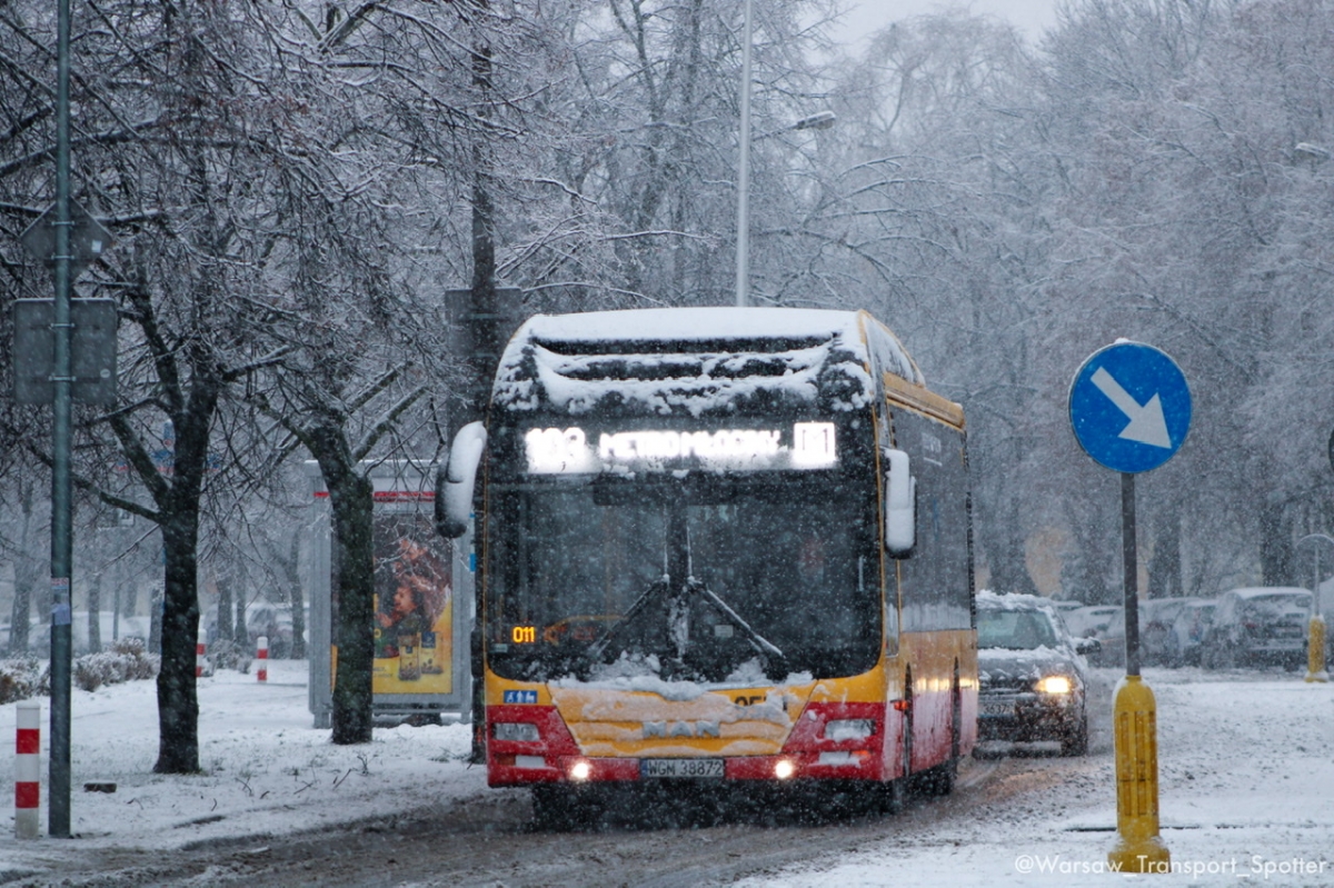 9521
Pierwszy zimowy dzieĹ âď¸
Słowa kluczowe: Zima