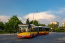 57CD2942-3482-4154-8AA6-E53479BD6A85.jpeg