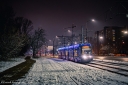 IMG_4550-Enhanced-NR-2.jpg