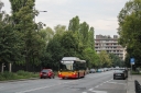 3A680A26-86A1-4246-912E-D74DAF34DCA4.jpeg