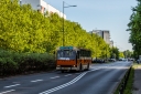 _MG_8026_phototrans.jpg
