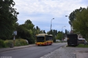 DSC_2323.jpg