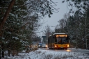 DSC_0278-3.jpg