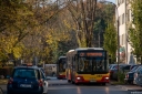 DSC_1999-2.jpg