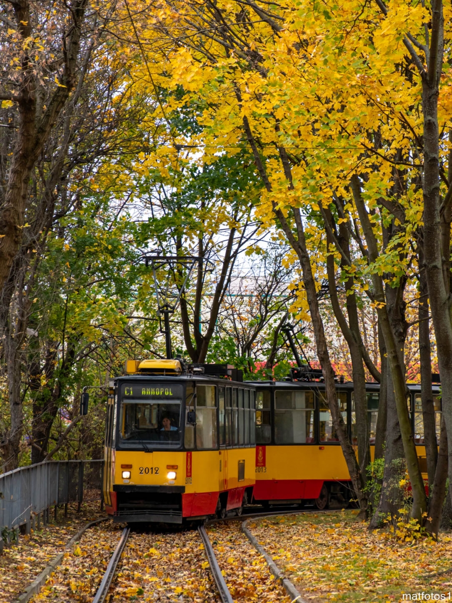2013+2012
Słowa kluczowe: Natura JesieĹ WĹ2021