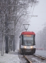 DSC_4811-2.jpg