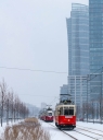 DSC_7283-2.jpg