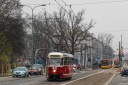 DSC_2987-2.jpg