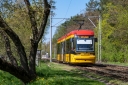 DSC_1006-3.jpg