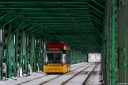 DSC_7466-2.jpg