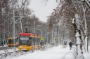DSC_9120-2.jpg