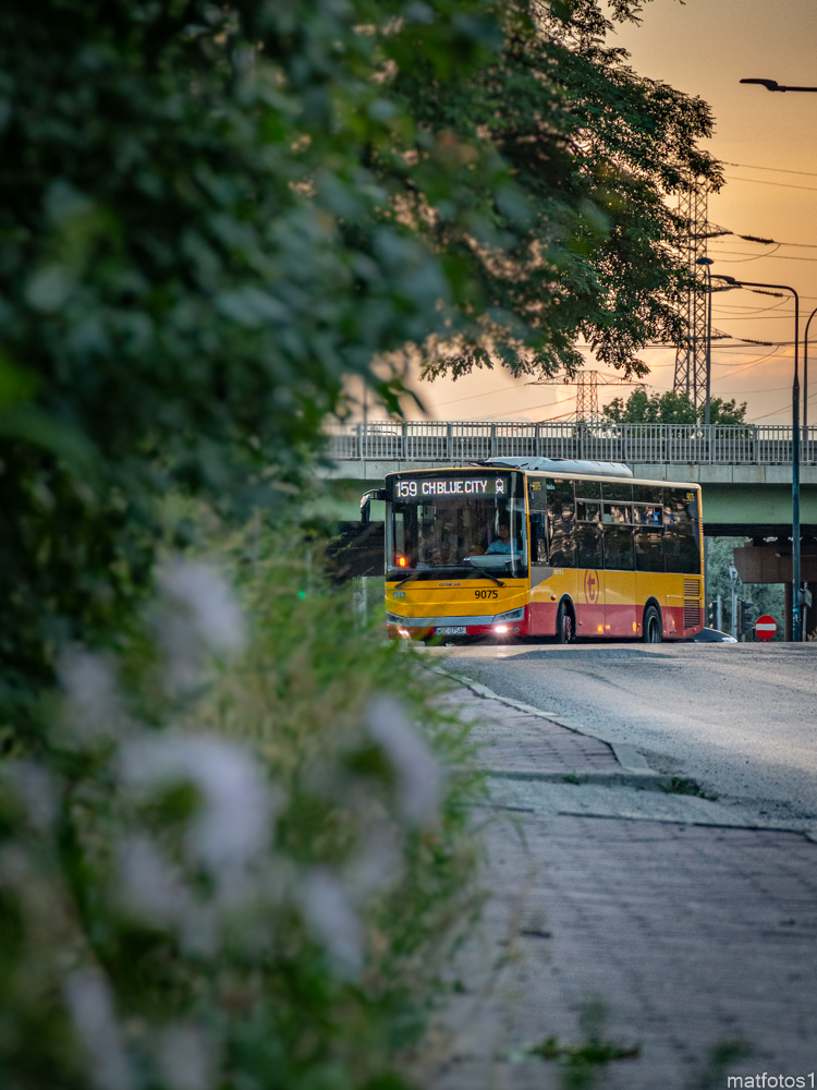 9075
Słowa kluczowe: DziwadĹo  Natura