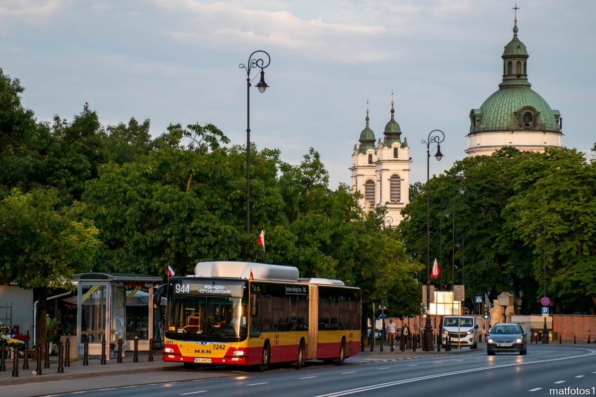 7242
Słowa kluczowe: PW2021