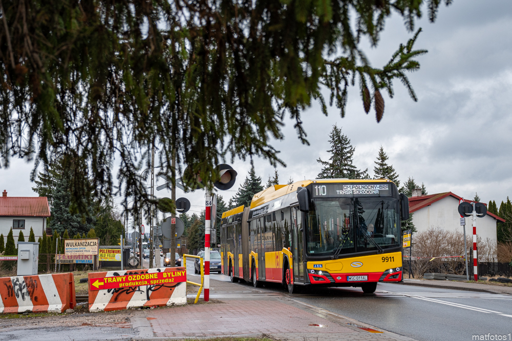 9911
Słowa kluczowe: DziwadĹo
