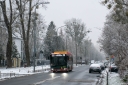 DSC_3381-2.jpg