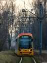 DSC_6001-2.jpg
