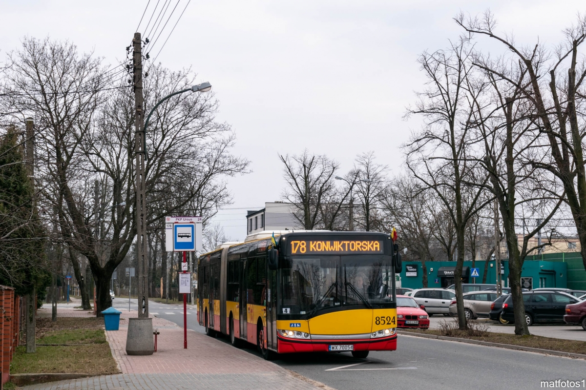 8524
Słowa kluczowe: DziwadĹo
