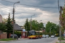 DSC_2043.jpg