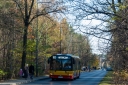 7310.jpg