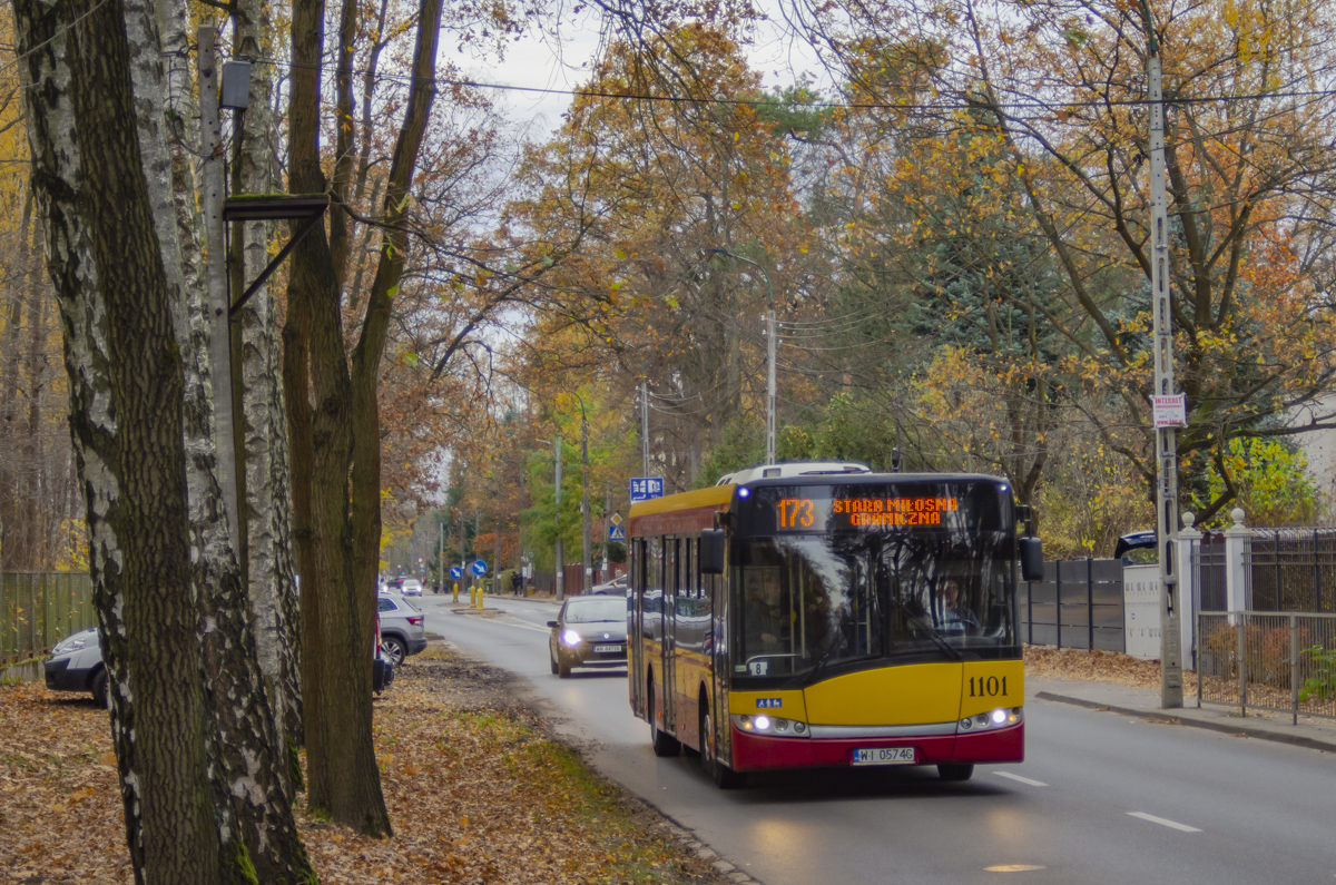 1101
Słowa kluczowe: JesieĹ