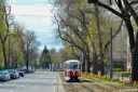 DSC_6919_28229.JPEG
