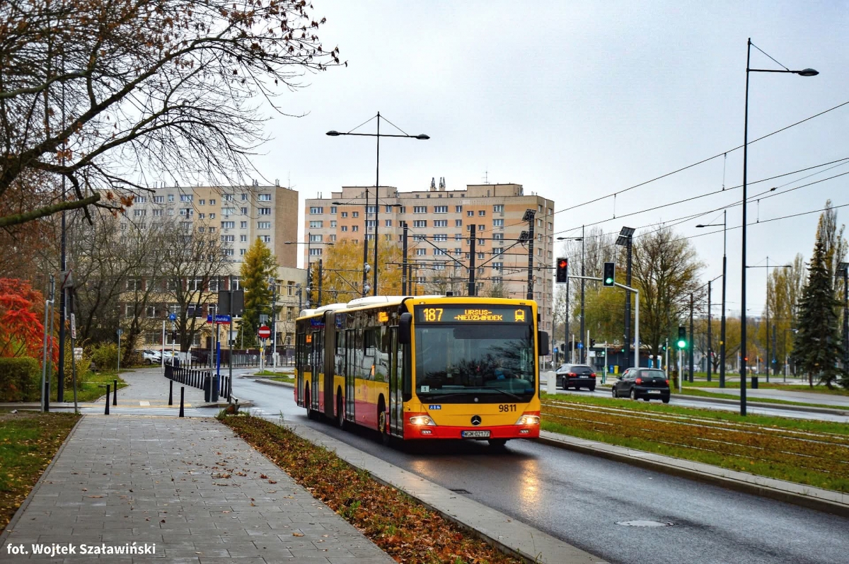 9811
Słowa kluczowe: JesieĹ