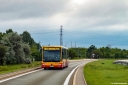 20260312_094504.jpg