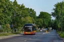 IMG_3166.jpeg