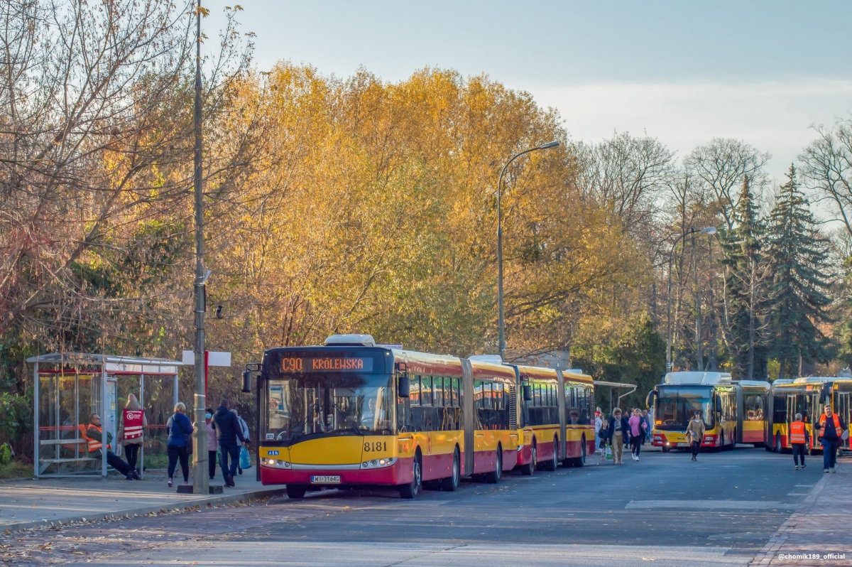 8181
Słowa kluczowe: WĹ2021