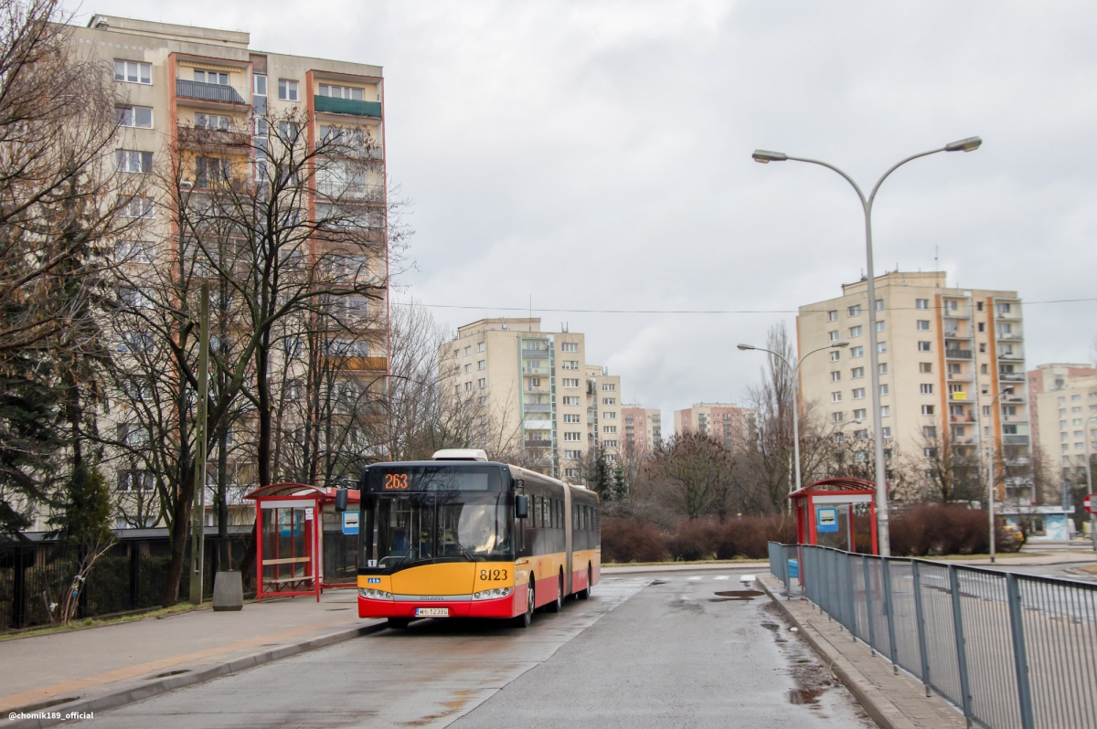 8123
Słowa kluczowe: DziwadĹo