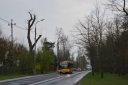 IMG-4535.jpg
